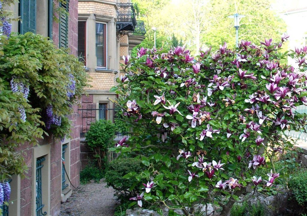 Photo of Outdoor in Bad Kissingen