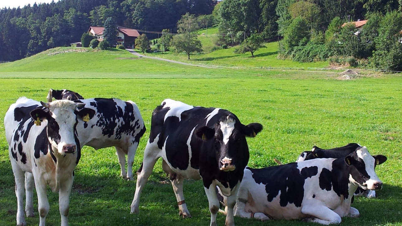 Photo of Others in Bernau am Chiemsee