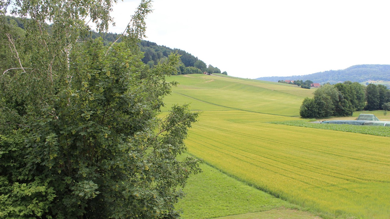 Photo of Others in Graefenberg