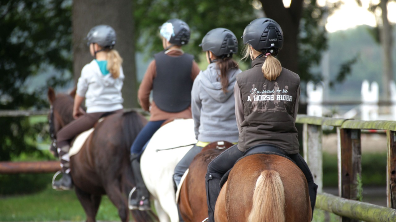 Photo of Others in Everswinkel