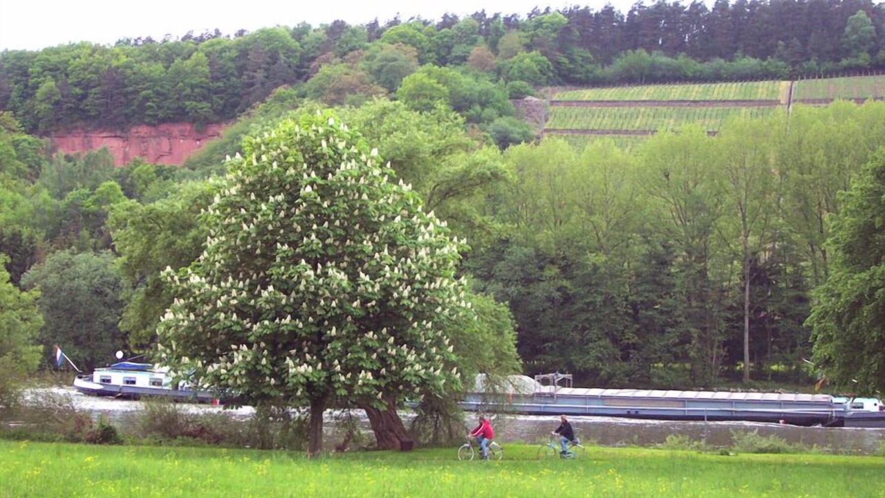 Photo of Outdoor in Buergstadt