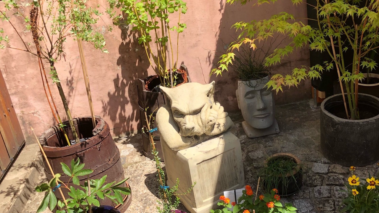 Photo of Outdoor in Elfershausen