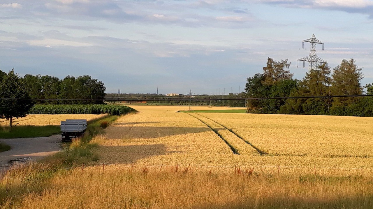 Photo of Outdoor in Gilching