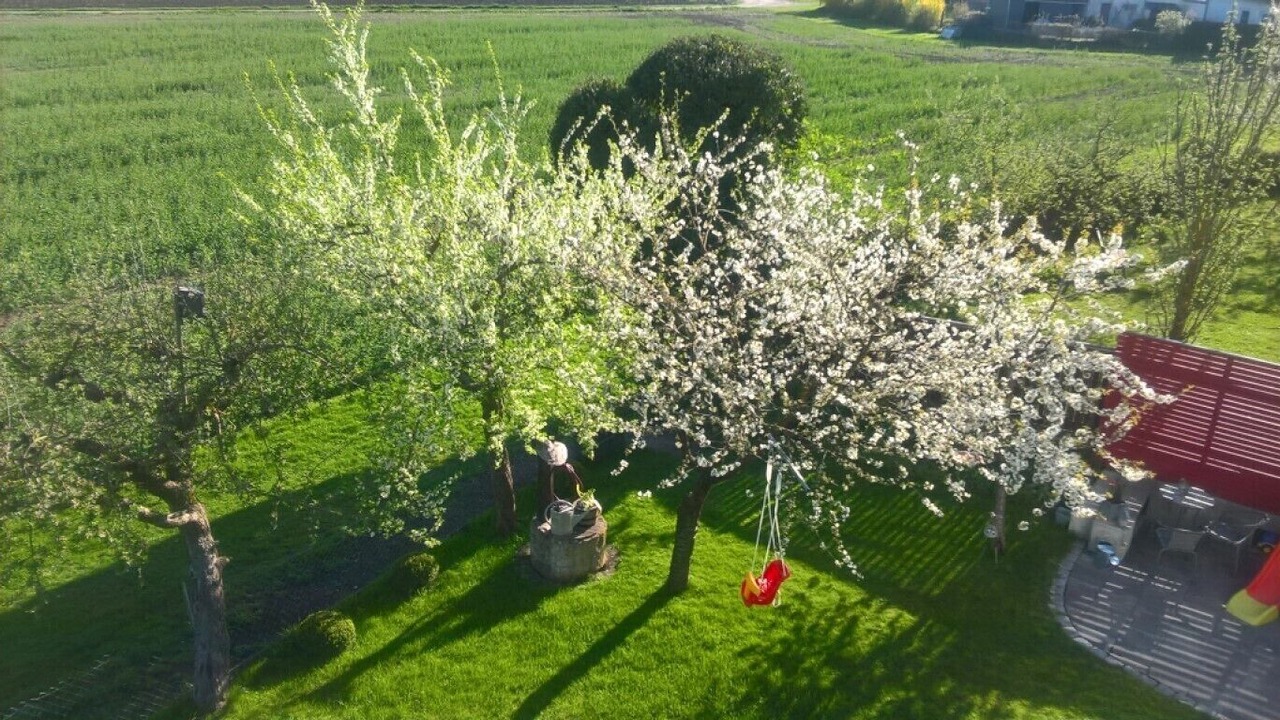 Photo of Outdoor in Hofheim in Unterfranken
