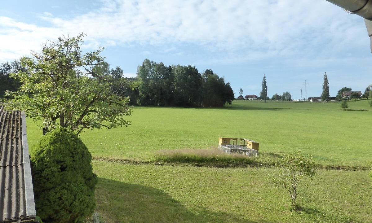 Photo of Outdoor in Regen
