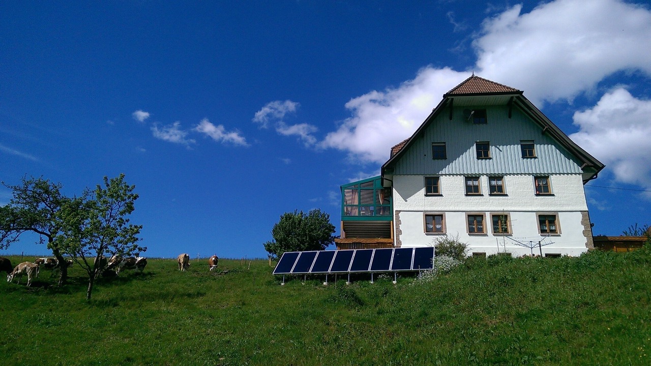 Photo of Outdoor in Lauterbach