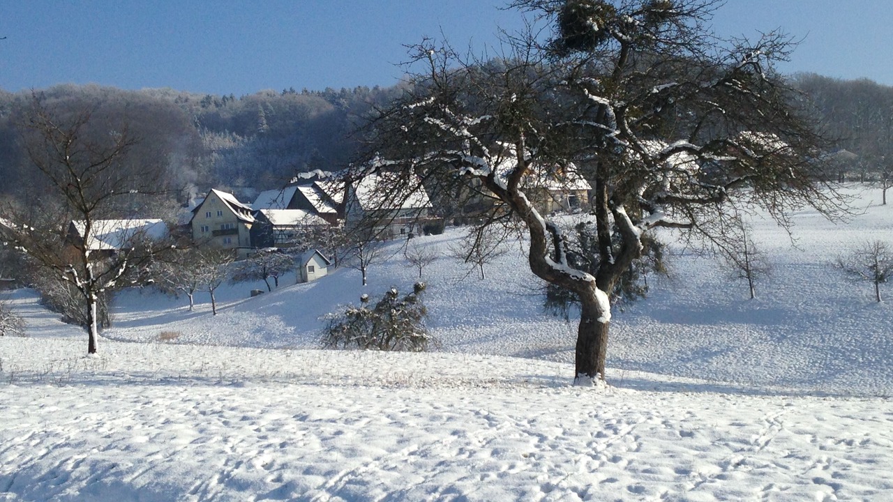 Photo of Outdoor in Schesslitz