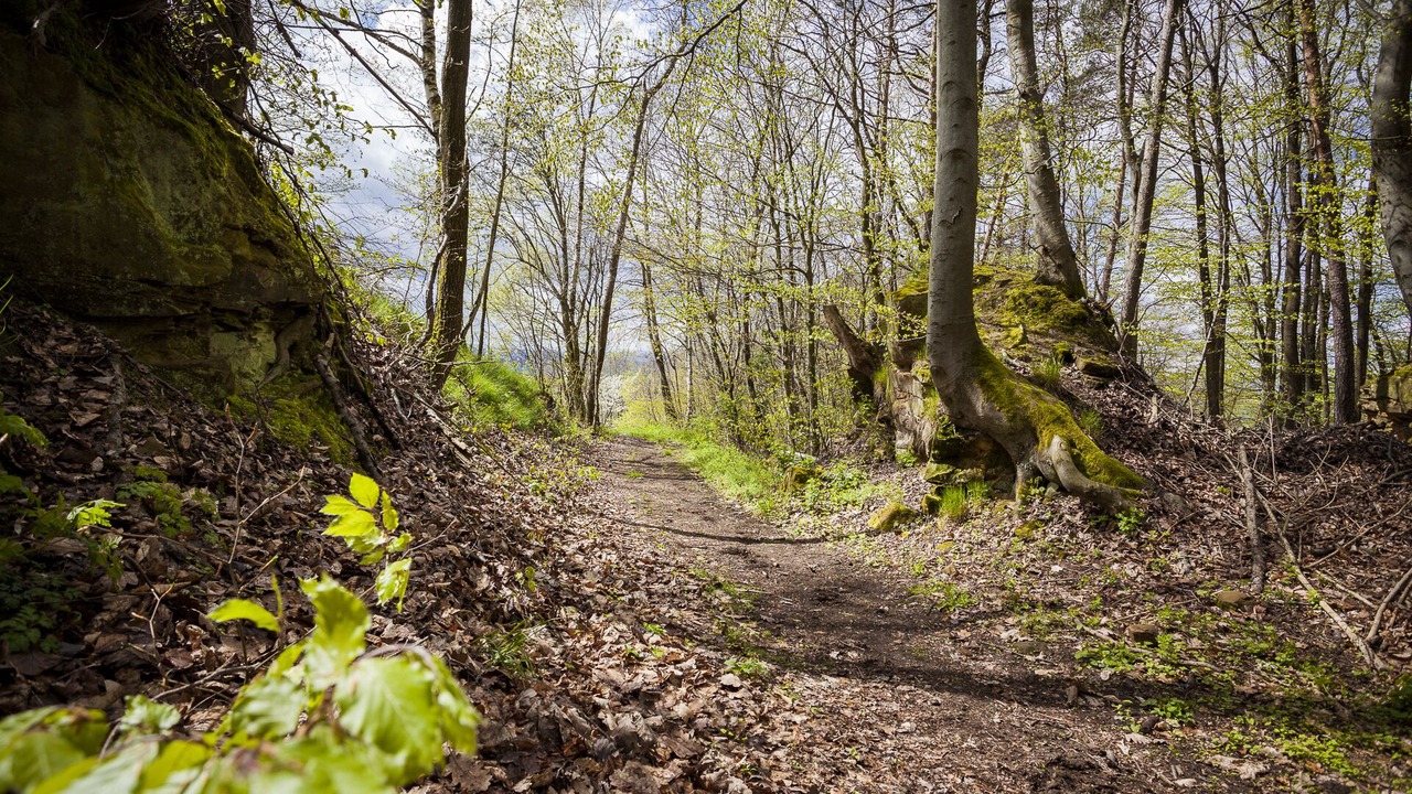 Photo of Outdoor in Schesslitz