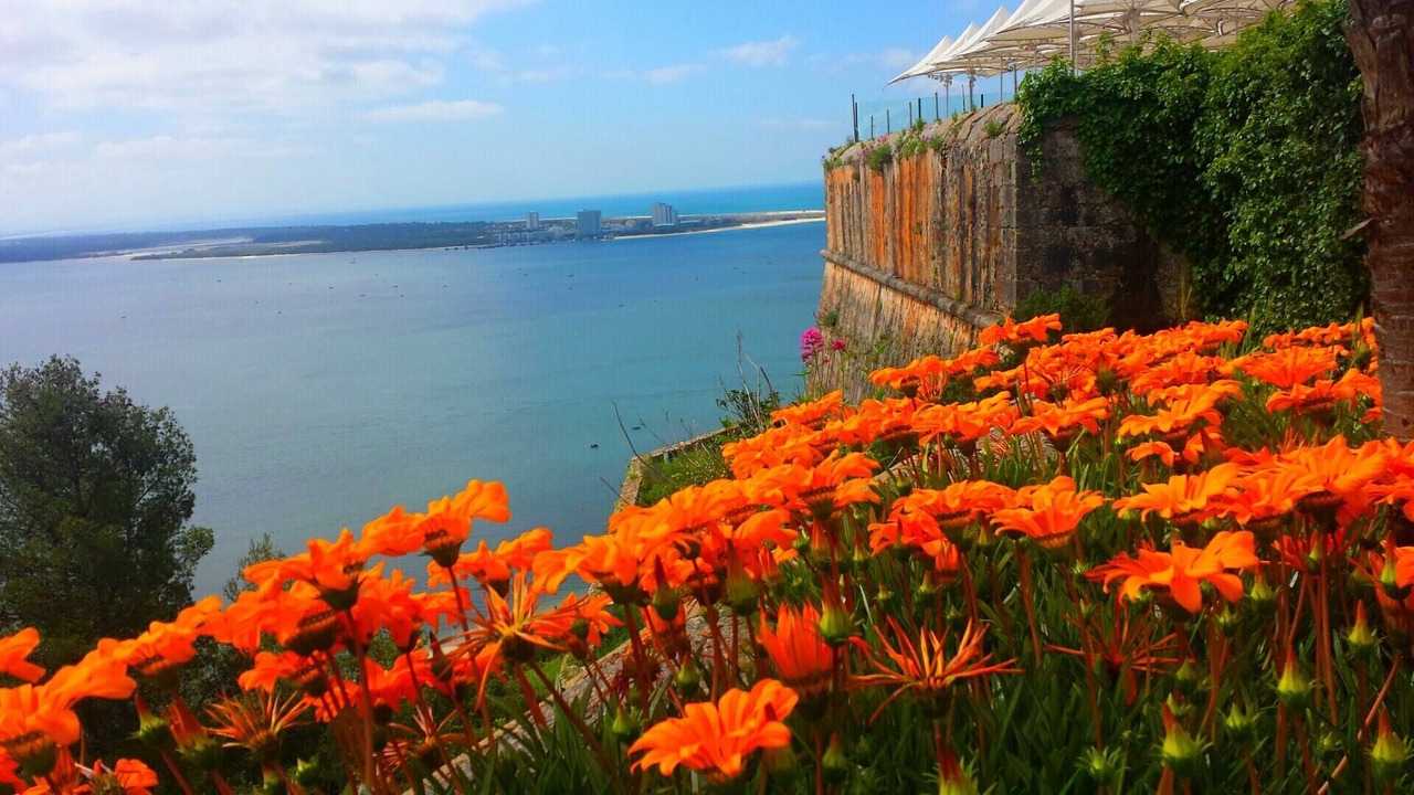 Photo of Outdoor in Setubal