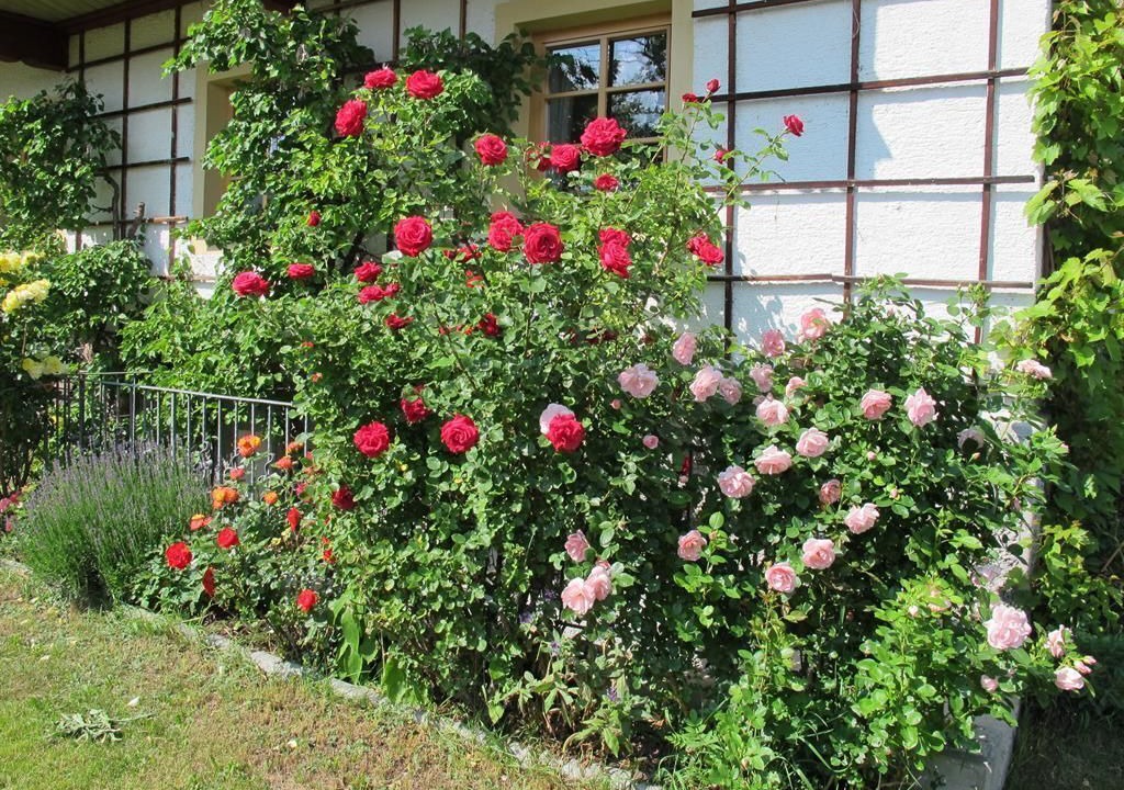 Photo of Outdoor in Reith bei Seefeld