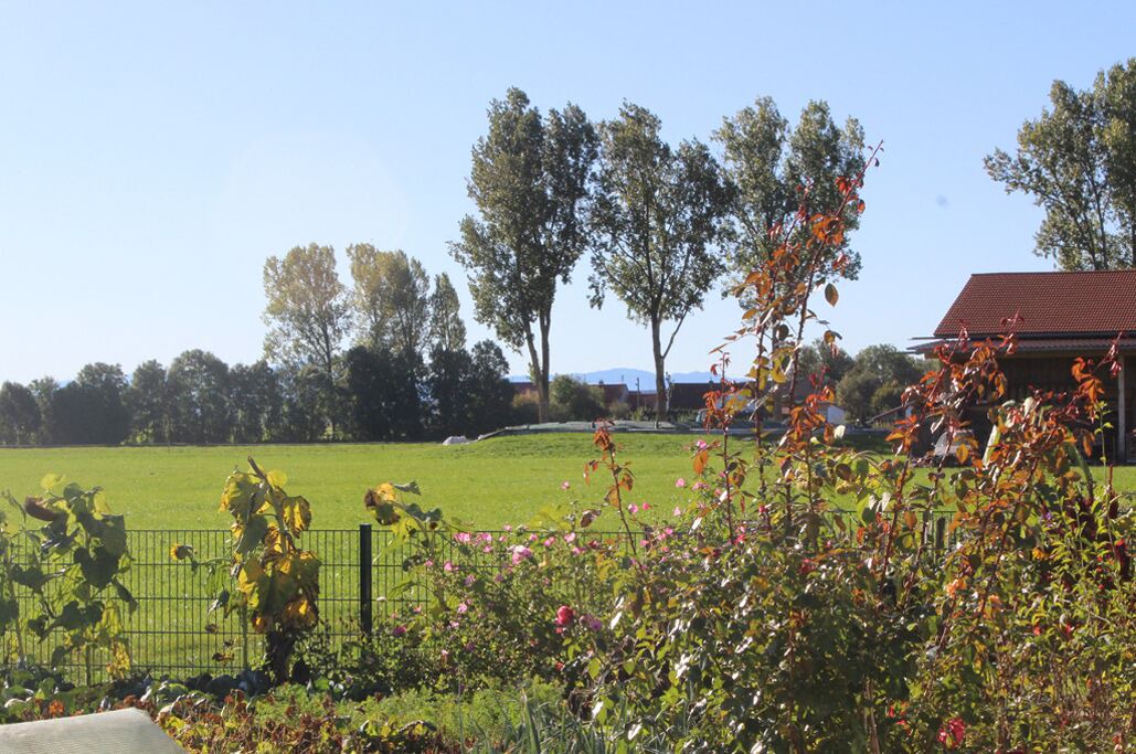 Photo of Outdoor in Gutenberg