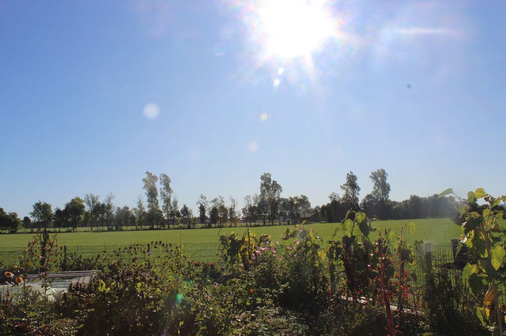 Photo of Outdoor in Gutenberg