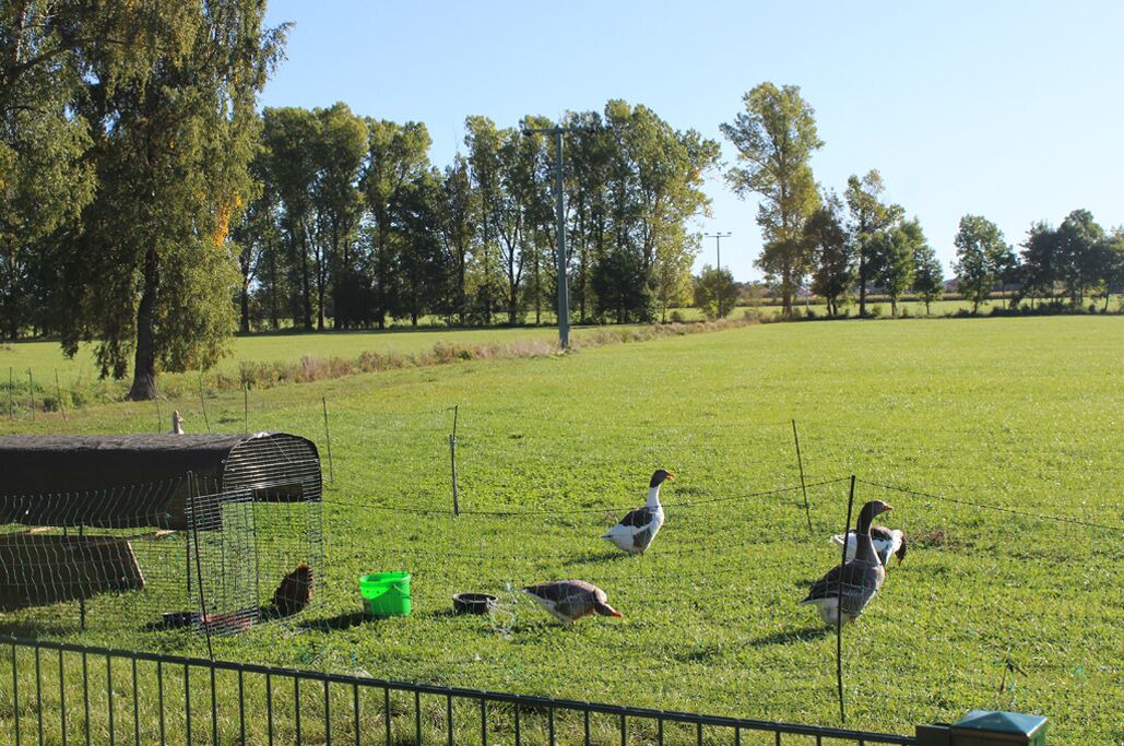 Photo of Outdoor in Gutenberg