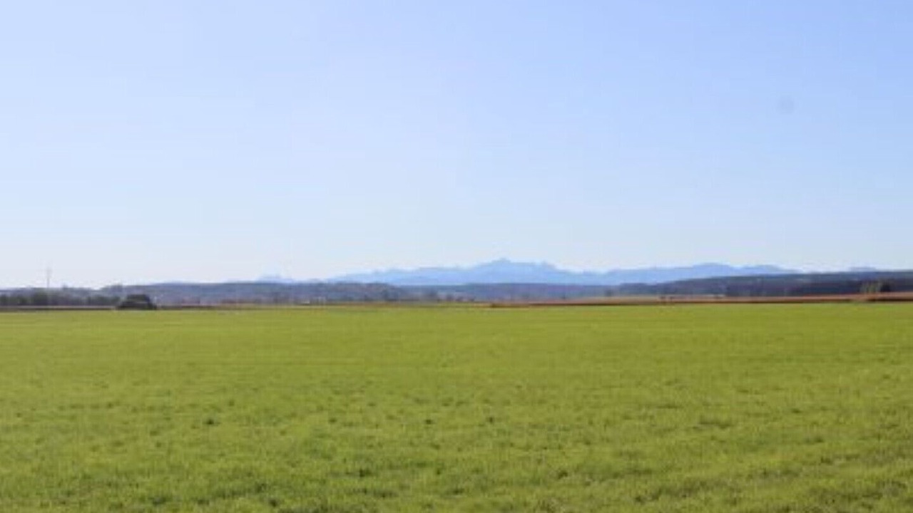 Photo of Outdoor in Gutenberg