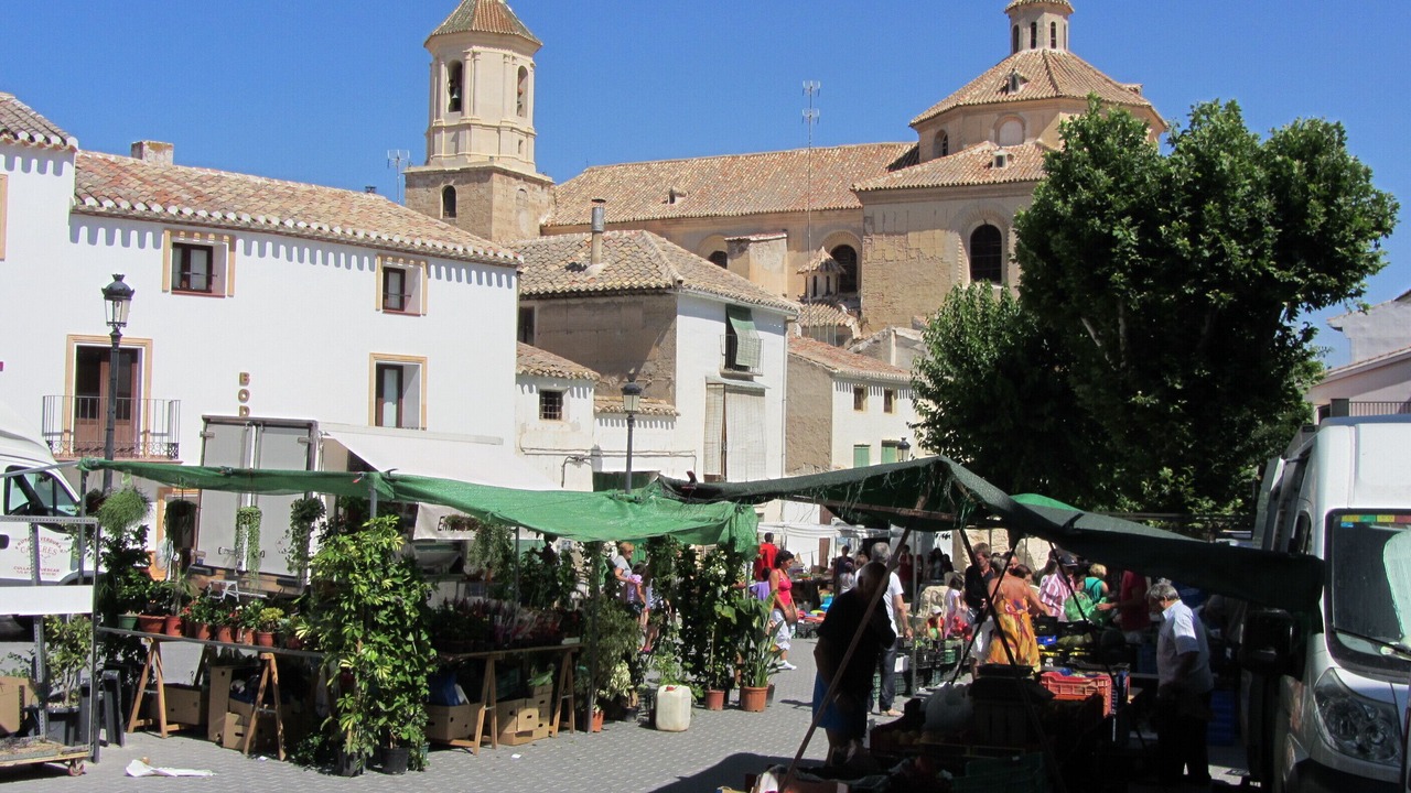 Photo of Outdoor in La Alqueria