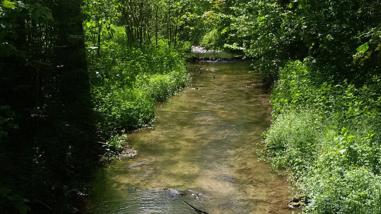 Photo of Outdoor in Harsdorf