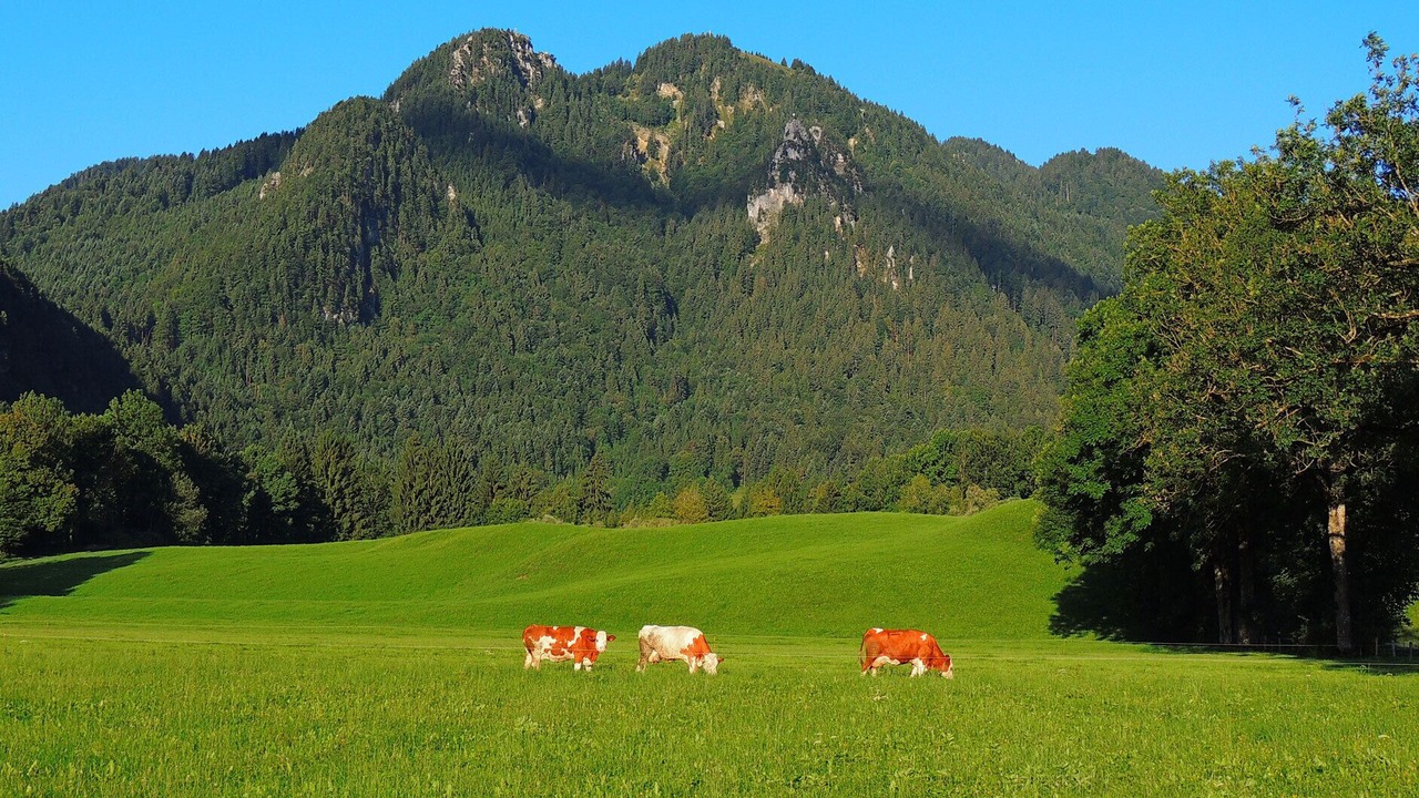 Photo of Others in Lenggries