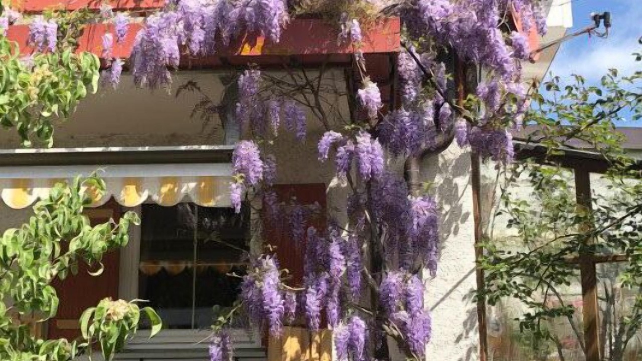 Photo of Outdoor in Bad Endorf
