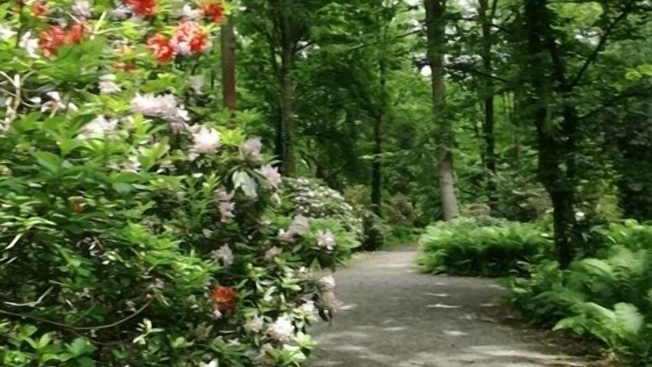 Photo of Outdoor in Bad Sassendorf