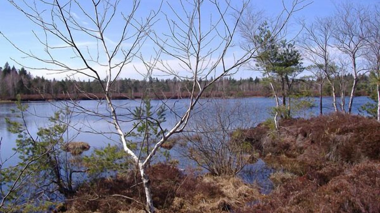 Photo of Outdoor in Aufham