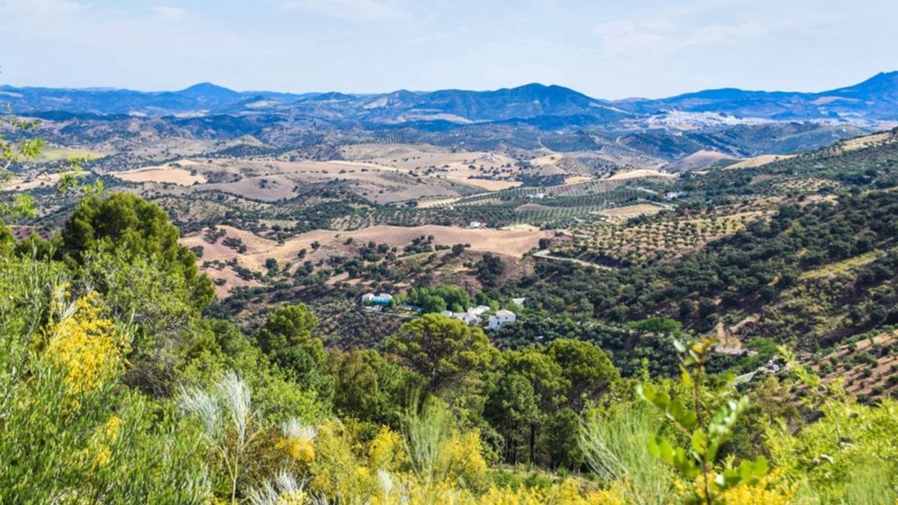 Photo of Others in Montecorto