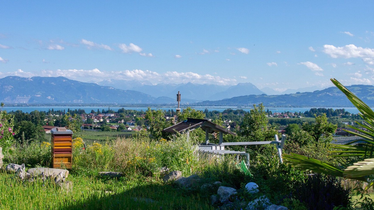 Photo of Others in Bodolz