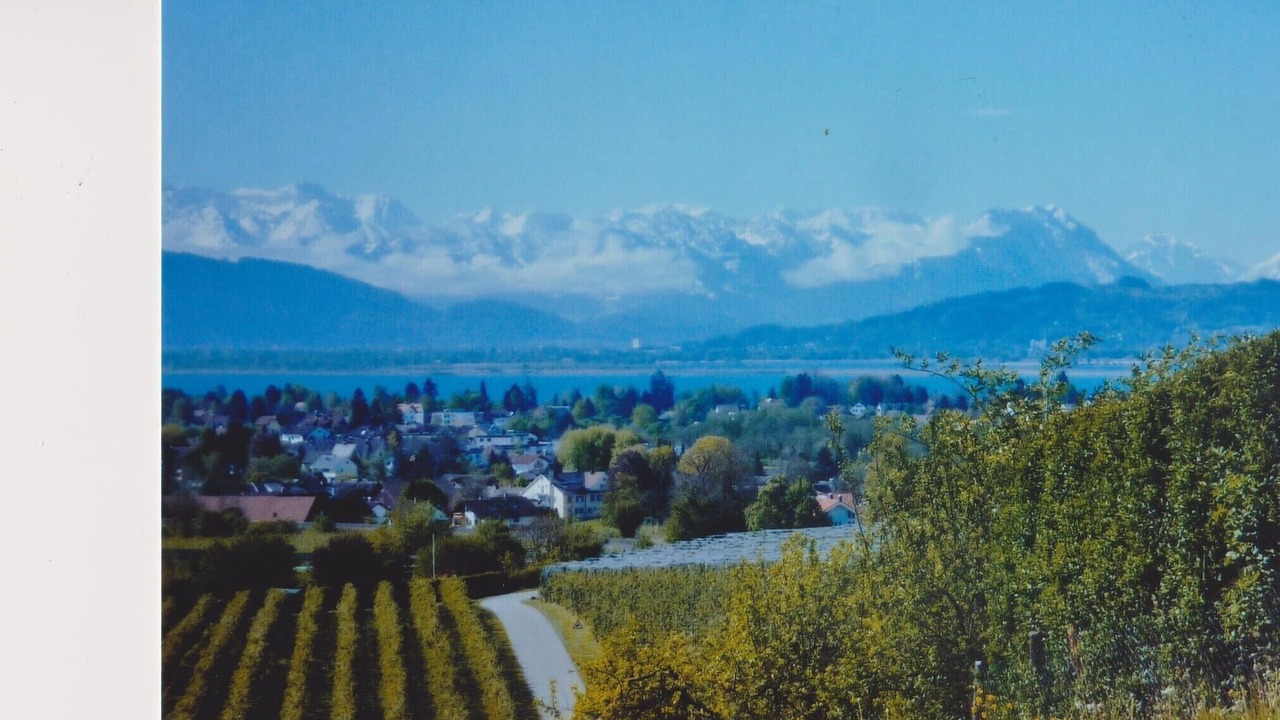 Photo of Others in Enzisweiler