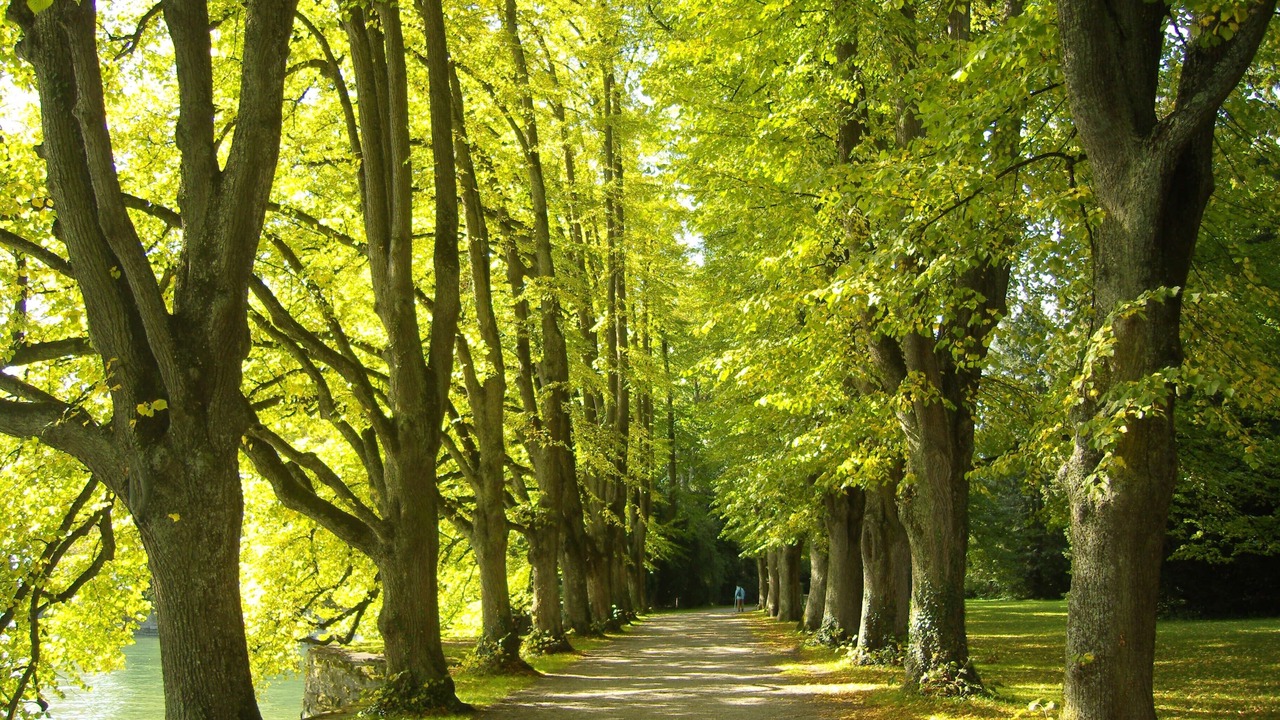 Photo of Outdoor in Enzisweiler