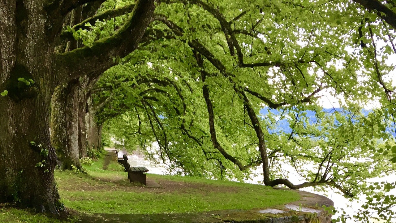Photo of Outdoor in Enzisweiler