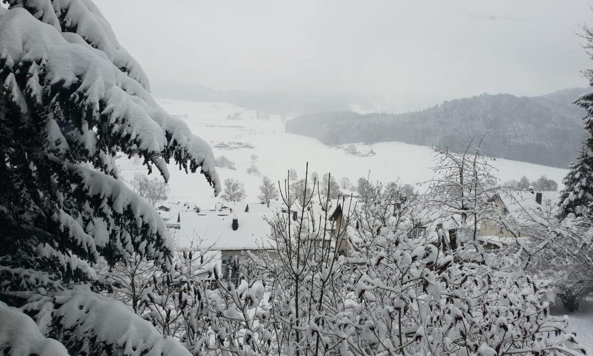 Photo of Outdoor in Grafenau