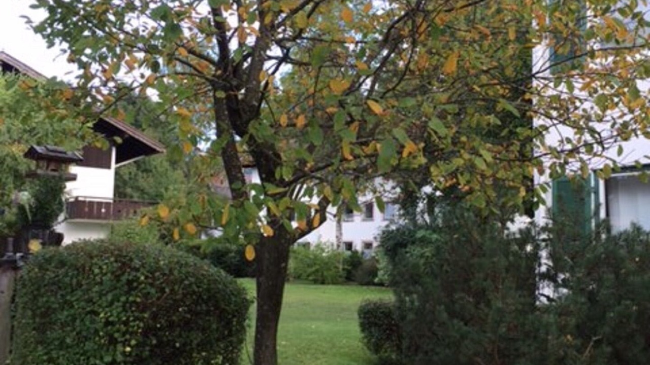 Photo of Outdoor in Weißach