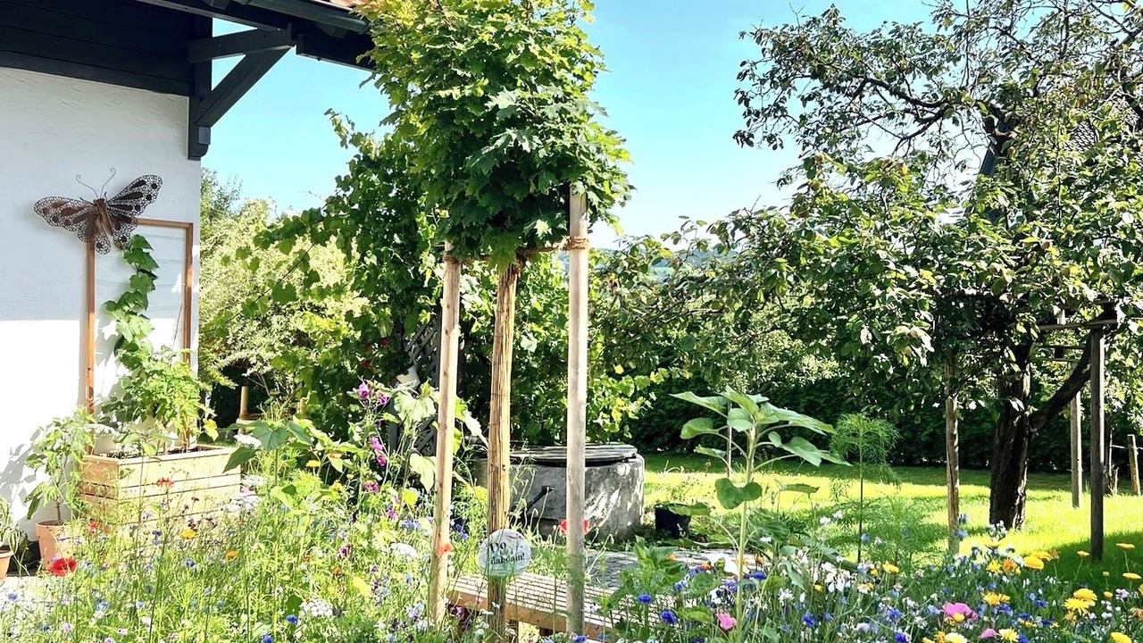 Photo of Outdoor in Jandelsbrunn