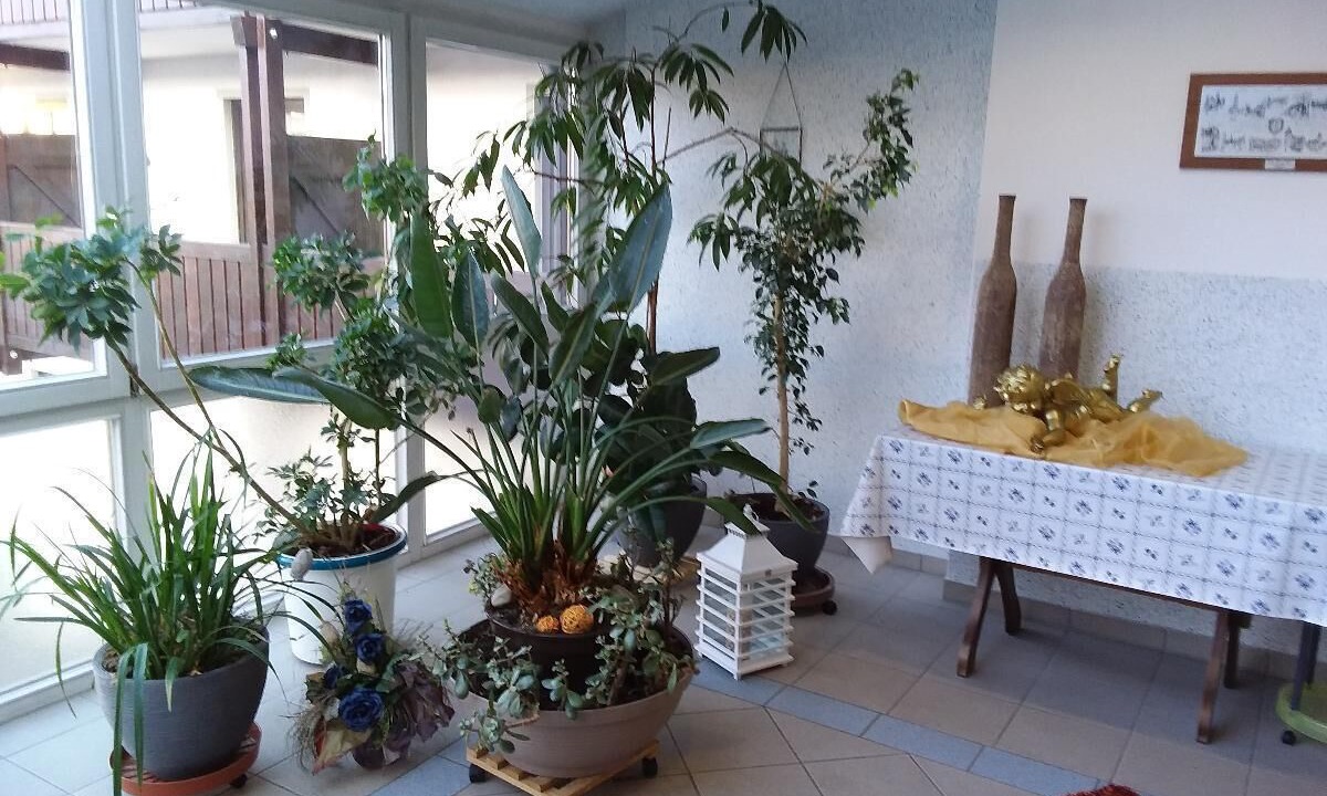 Photo of Others in Bischofsmais