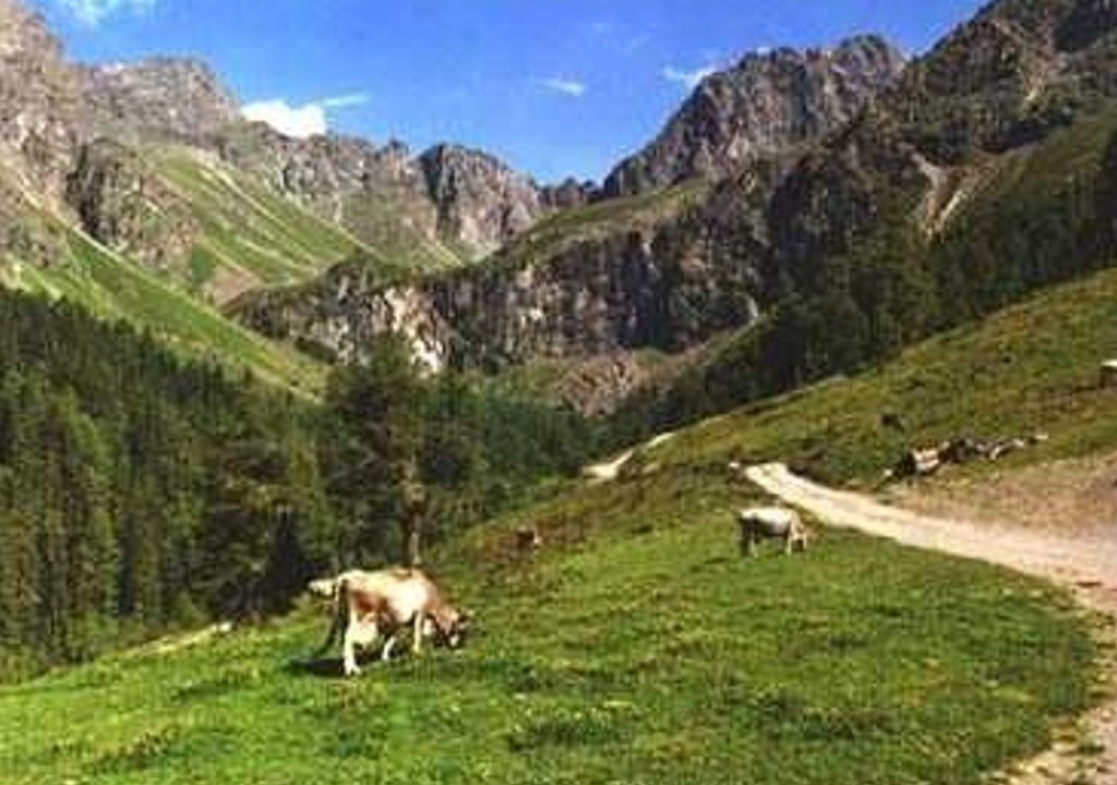 Photo of Others in Imsterberg