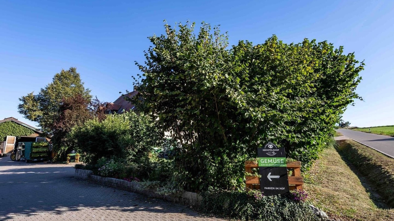 Photo of Outdoor in Leuzdorf