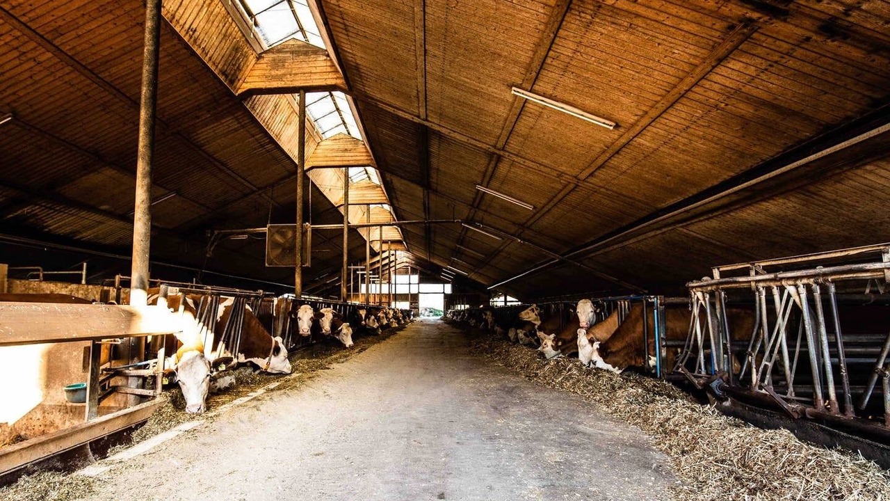 Photo of Others in Leuzdorf