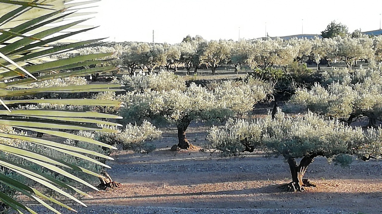 Photo of Outdoor in Costa Dorada