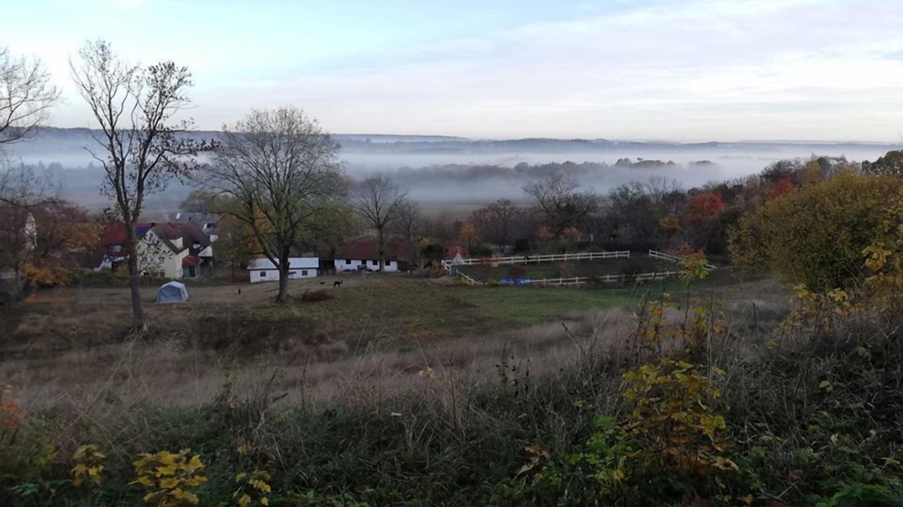 Photo of Outdoor in Schillingsfuerst