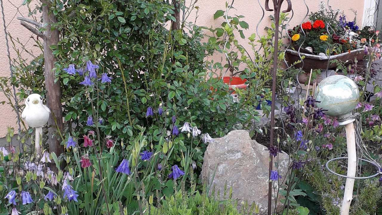 Photo of Outdoor in Taching a.See