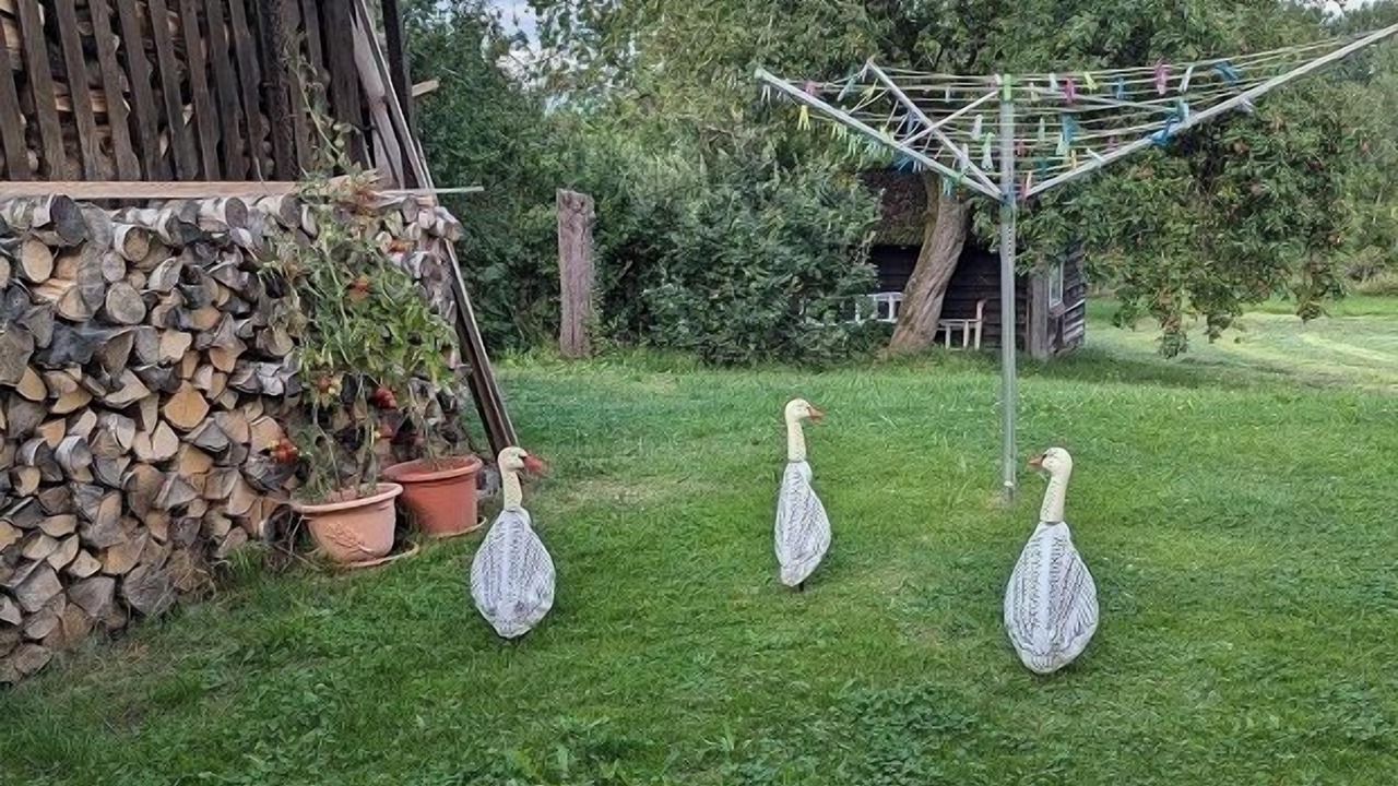 Photo of Outdoor in Roedental