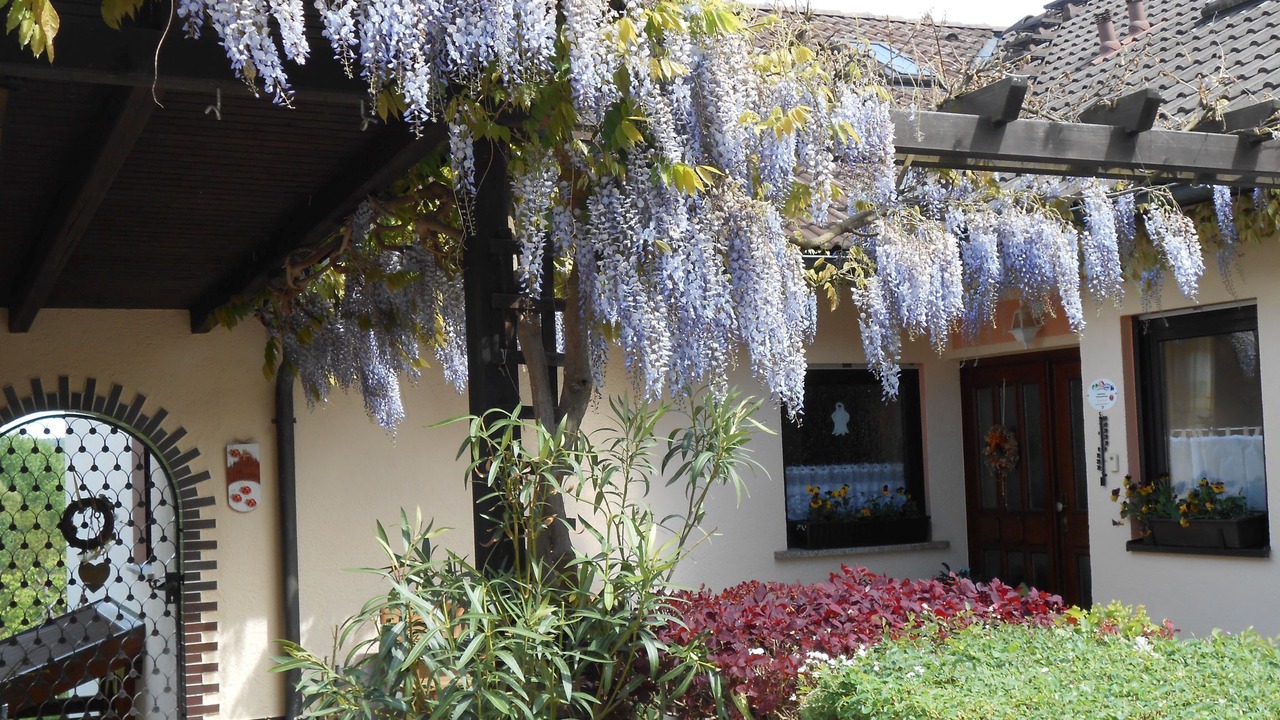 Photo of Outdoor in Roedental