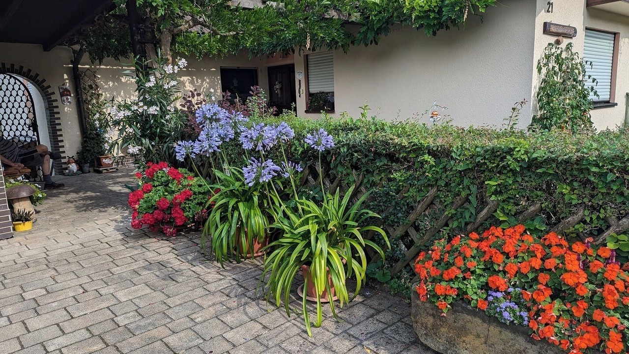 Photo of Outdoor in Roedental