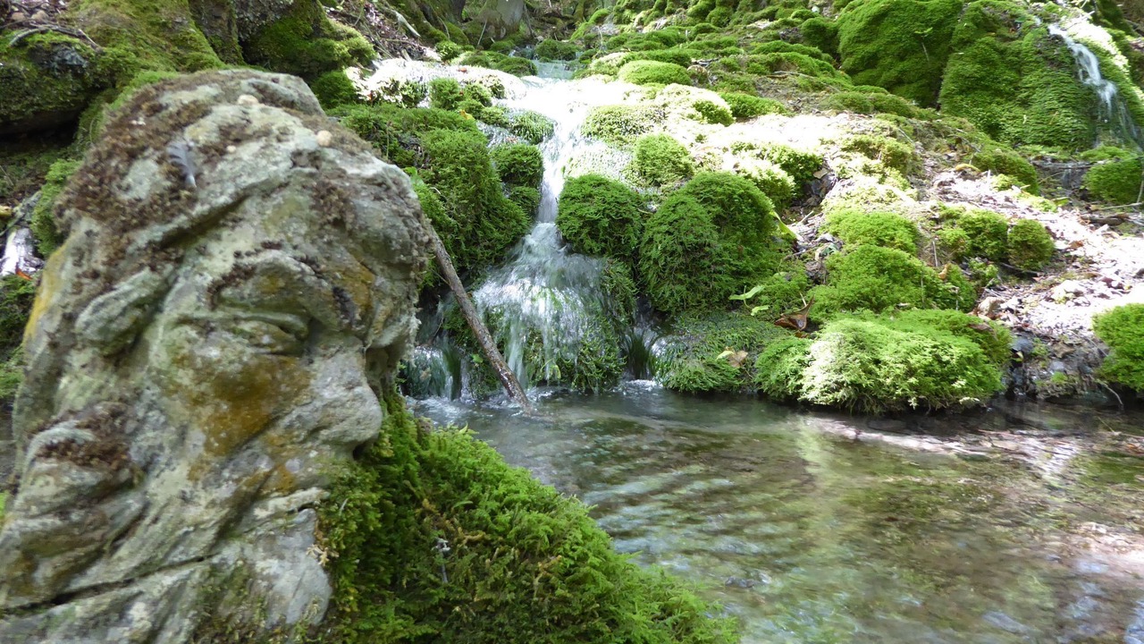 Photo of Outdoor in Roedental