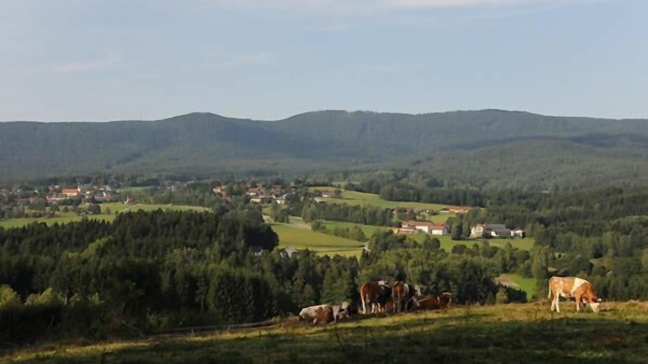Photo of Others in Arnbruck