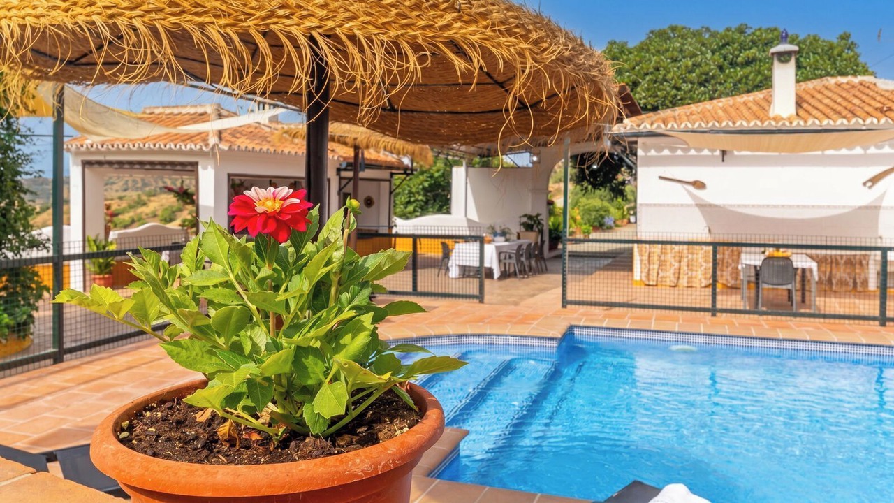 Photo of Outdoor in Almogia