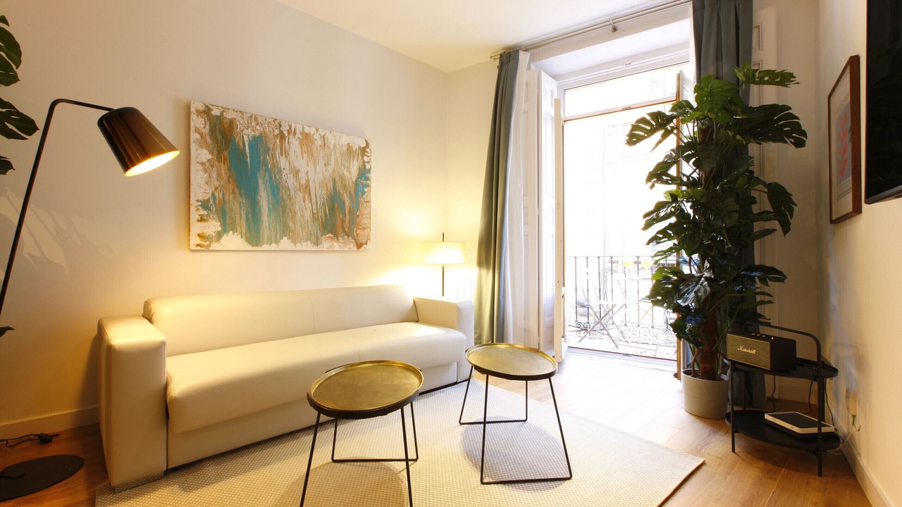 Photo of Livingroom in Embajadores
