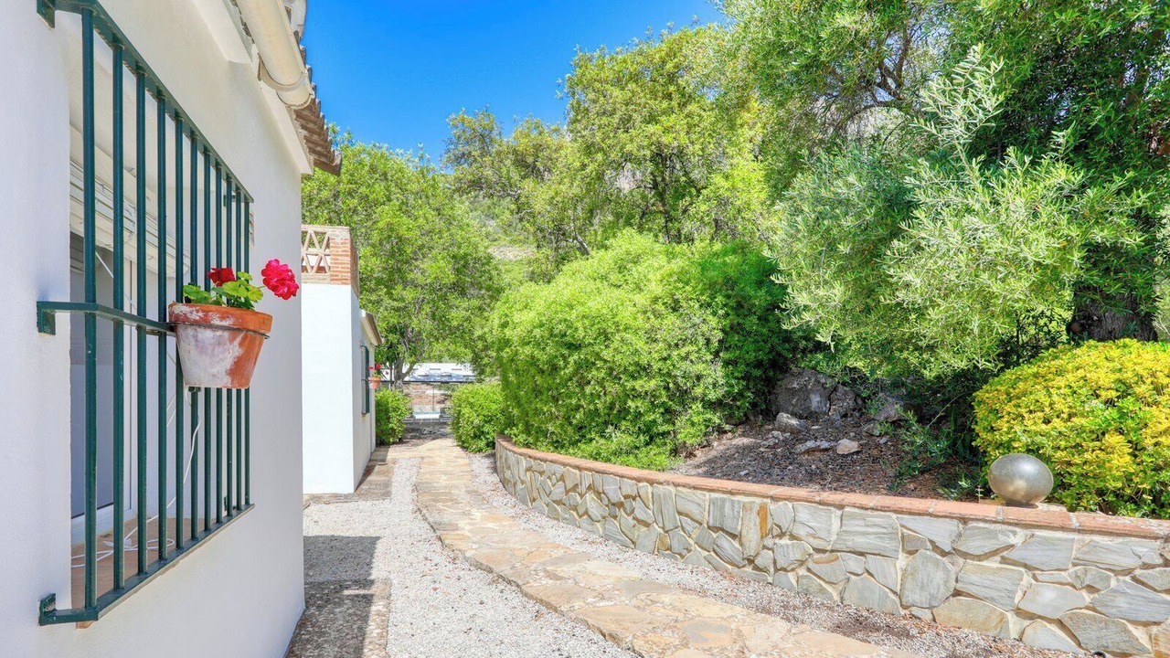 Photo of Outdoor in Montecorto