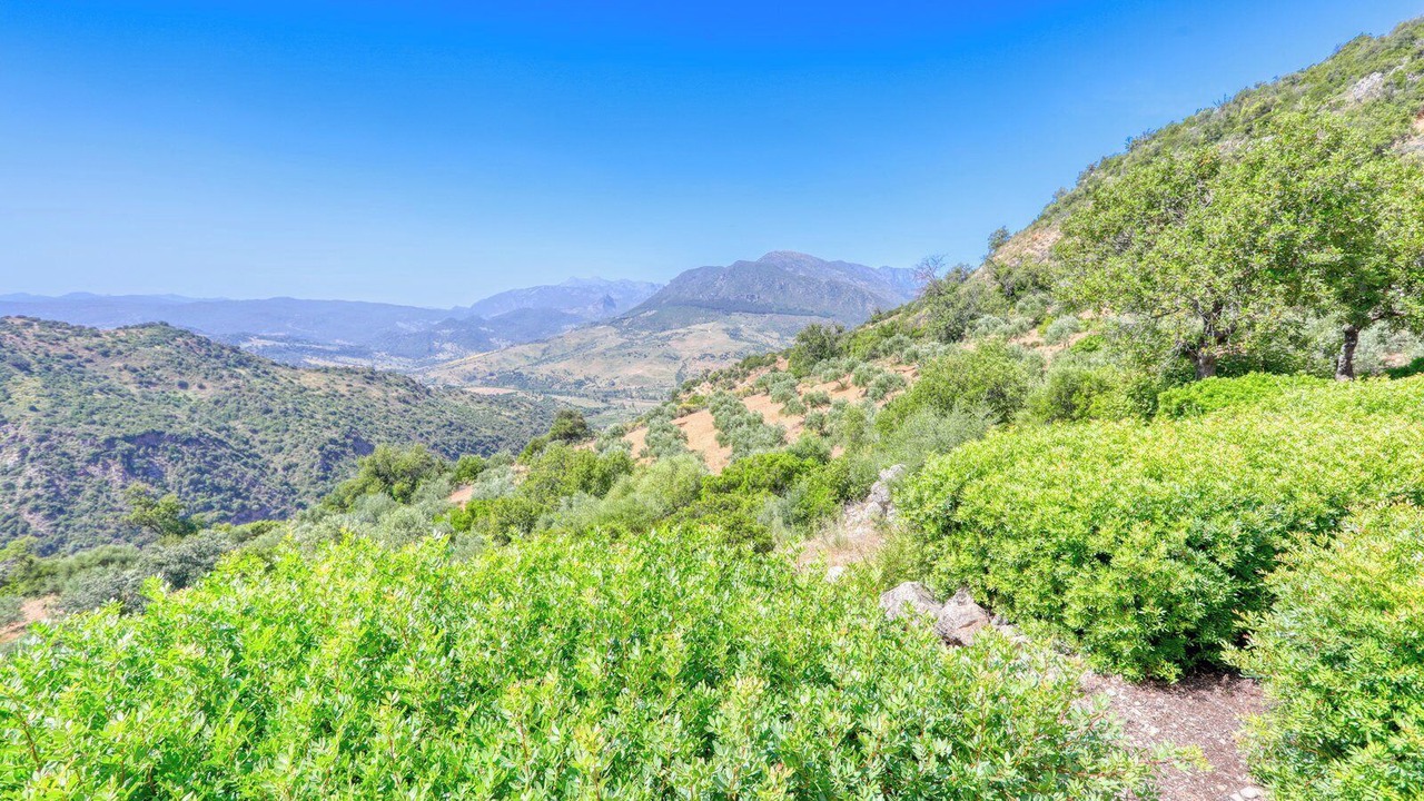 Photo of Others in Montecorto