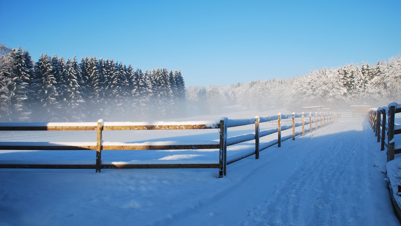 Photo of Others in Haibach
