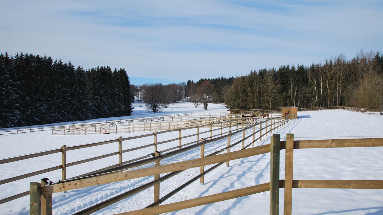 Photo of Others in Haibach